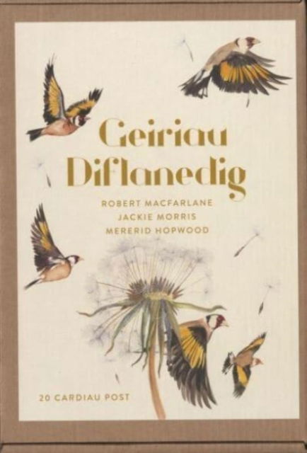 Geiriau Diflanedig (20 Cardiau Post) - Jackie Morris - Books - Graffeg Limited - 9781913134907 - December 19, 2019