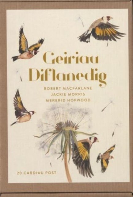 Cover for Jackie Morris · Geiriau Diflanedig (20 Cardiau Post) (Bog) (2019)