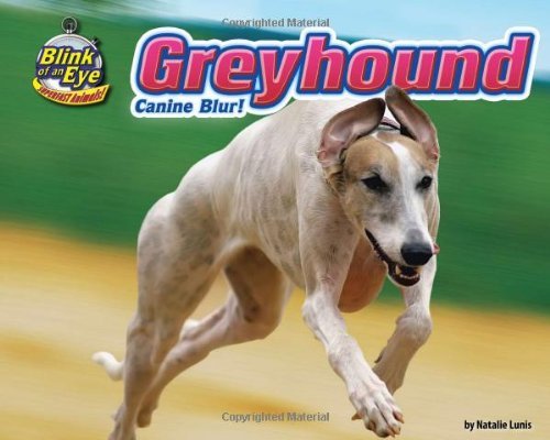 Cover for Natalie Lunis · Greyhound: Canine Blur! (Blink of an Eye: Superfast Animals) (Gebundenes Buch) (2010)