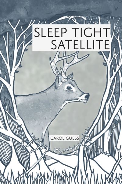 Cover for Carol Guess · Sleep Tight Satellite (Book) (2023)