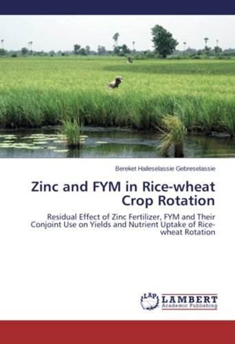 Cover for Bereket  Haileselassie Gebreselassie · Zinc and Fym in Rice-wheat Crop Rotation: Residual Effect of Zinc Fertilizer, Fym and Their Conjoint Use on Yields and Nutrient Uptake of Rice-wheat Rotation (Paperback Bog) (2013)