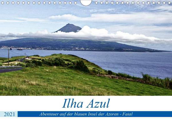 Cover for Löwe · Ilha Azul, Abenteuer auf der blaue (Buch)