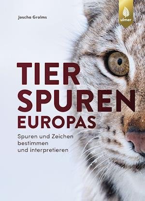 Cover for Joscha Grolms · Tierspuren Europas (Hardcover Book) (2021)