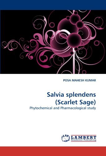 Cover for Posa  Mahesh Kumar · Salvia Splendens (Scarlet Sage): Phytochemical and Pharmacological Study (Paperback Book) (2011)