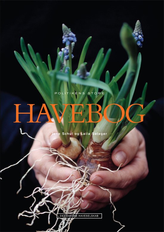 Cover for Havearkitekt Laila Sølager; Jane Schul · Politikens store havebog (Inbunden Bok) [1:a utgåva] [Indbundet] (2006)