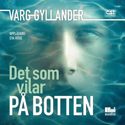 Cover for Varg Gyllander · Det som vilar på botten (Książka audio (MP3)) (2017)