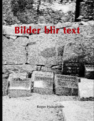 Bilder blir text : I mitt huvud - Roger Halvarsson - Books - BoD - 9789180970907 - June 20, 2025