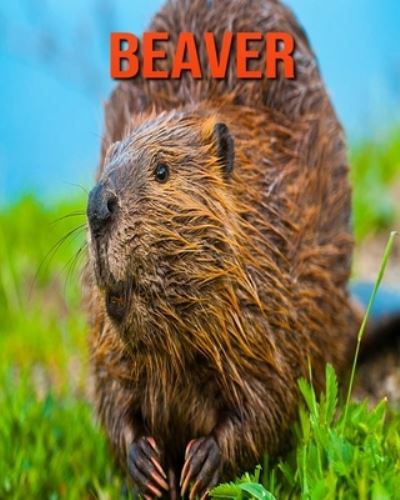 Beaver - William Doyle - Książki - Independently Published - 9798693977907 - 5 października 2020