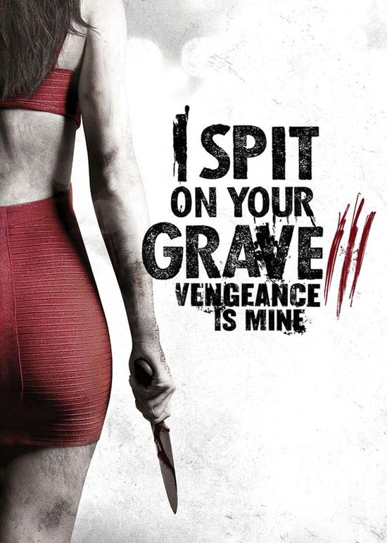 I Spit on Your Grave 3 - I Spit on Your Grave 3 - Movies - Anchor Bay - 0013132630908 - October 20, 2015