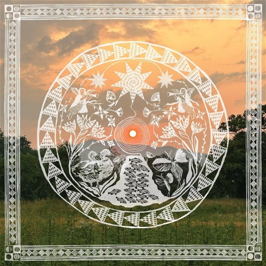 Daniel Bachman · When The Roses Come Again (LP) [Coloured edition] (2023)