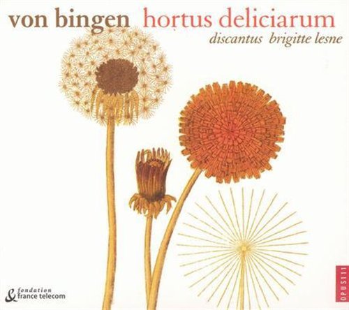 Cover for Hildegard Von Bingen · Hortus Deliciarum - Discantus (CD) (2003)