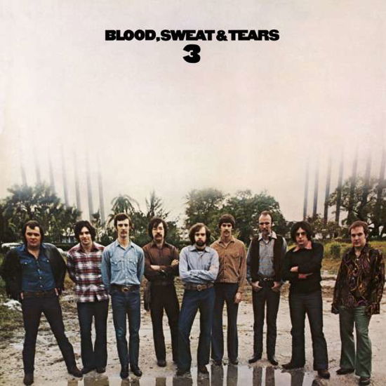 Cover for Blood Sweat &amp; Tears · Blood Sweat &amp; Tears 3 (LP) (2015)