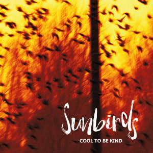 Cover for Sunbirds · Cool To Be Kind (CD) (2020)