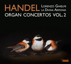 Organ Concertos 2 - Handel / Ghiilemi / Divina Armonia / Grazzi - Muziek - PASSACAILLE - 5425004849908 - 13 november 2012