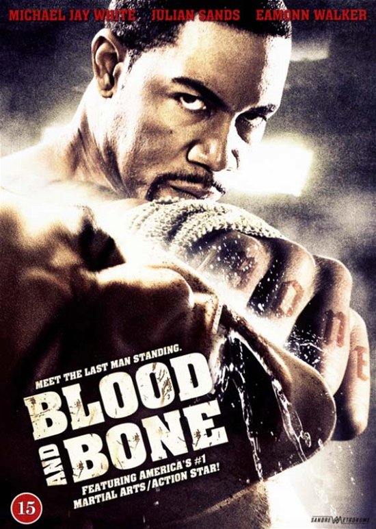 Cover for Blood and Bone (2009) [DVD] (DVD) (2024)
