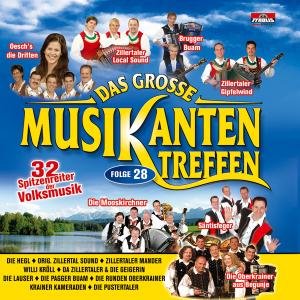 Das Grosse Musikantentreffen Folge 28 - Various Artists - Música - TYROLIS - 9003549524908 - 5 de janeiro de 2009