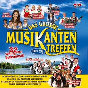 Das Grosse Musikantentreffen Folge 28 - Various Artists - Musik - TYROLIS - 9003549524908 - 5. januar 2009