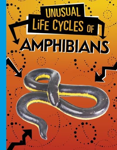Cover for Jaclyn Jaycox · Unusual Life Cycles of Amphibians - Unusual Life Cycles (Hardcover Book) (2022)
