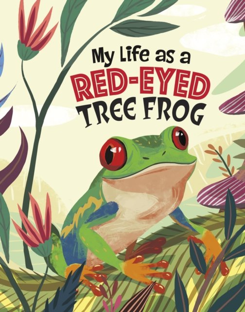 Cover for John Sazaklis · My Life as a Red-Eyed Tree Frog - My Life Cycle (Taschenbuch) (2024)