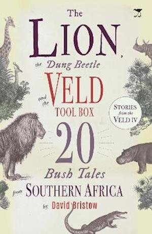 Cover for David Bristow · The Lion, the Dung Beetle and the Veld Tool Box: 20 Bush Tales from Southern Africa (Paperback Book) (2021)