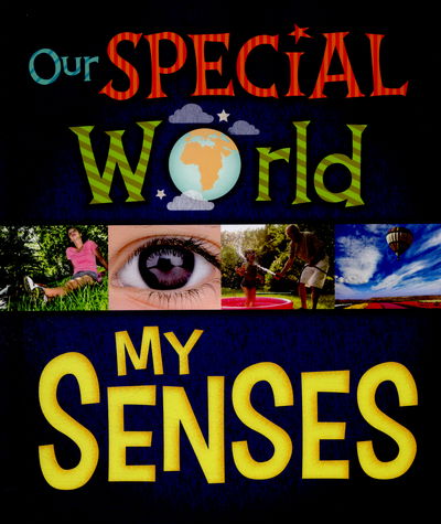 Our Special World: My Senses - Our Special World - Liz Lennon - Libros - Hachette Children's Group - 9781445148908 - 12 de mayo de 2016