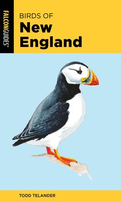 Birds of New England - Falcon Pocket Guides - Todd Telander - Books - Rowman & Littlefield - 9781493051908 - June 1, 2020