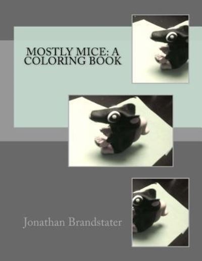 Cover for Jonathan Jay Brandstater · Mostly Mice (Paperback Book) (2017)