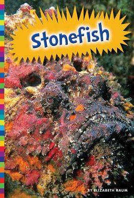 Cover for Elizabeth Raum · Stonefish (Hardcover Book) (2015)