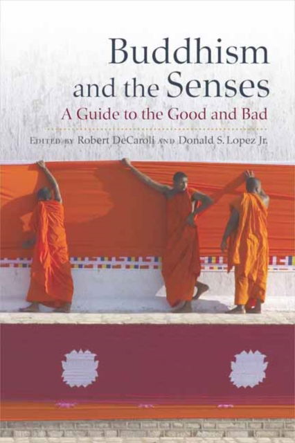 Buddhism and the Senses: A Guide to the Good and Bad (Hardcover Book) (2024)