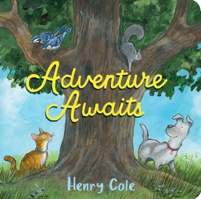 Cover for Henry Cole · Adventure Awaits (Board book) (2022)