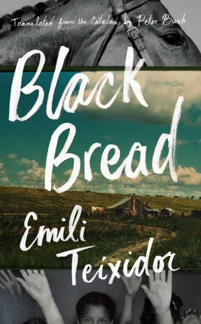 Emili Teixidor · Black Bread - Biblioasis International Translation Series (Paperback Book) [First edition. edition] (2016)