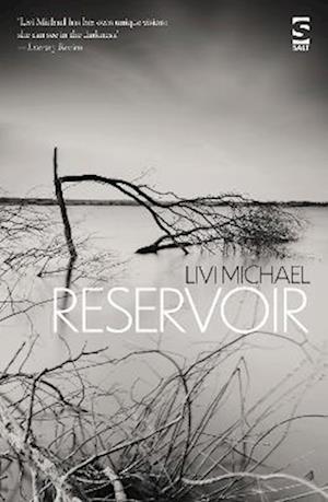 Cover for Livi Michael · Reservoir - Salt Modern Fiction (Paperback Book) (2023)