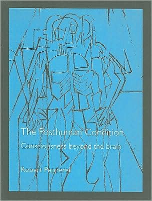 Cover for Robert Pepperell · The Posthuman Condition: Consciousness Beyond the Brain (Paperback Book) (2009)