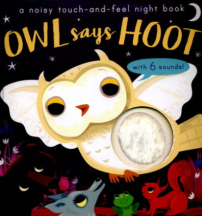 Cover for Libby Walden · Owl Says Hoot: A noisy touch-and-feel night book (Board book) (2016)