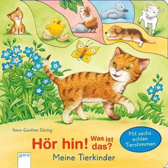 Cover for Döring · Hör hin! Was ist das? (Toys)