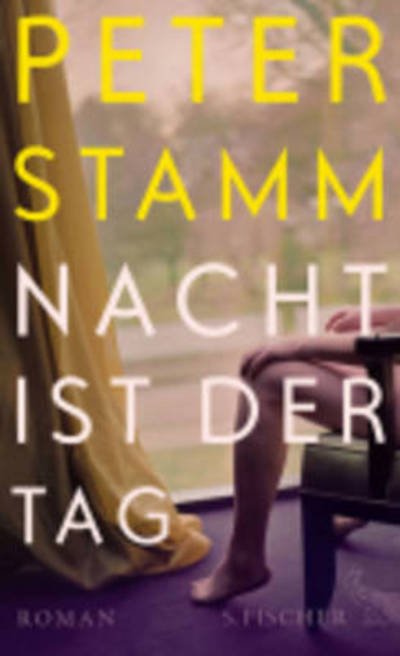 Cover for Peter Stamm · Nacht ist der Tag (Pocketbok) (2014)