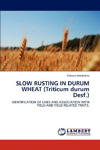 Cover for Fetsum Amakelew · Slow Rusting in Durum Wheat (Triticum Durum Desf.): Identification of Lines and Association with Yield and Yield Related Traits. (Paperback Book) (2012)