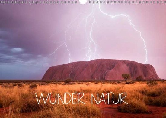 Cover for Schaarschmidt · Wunder Natur II (Wandkale (Book)