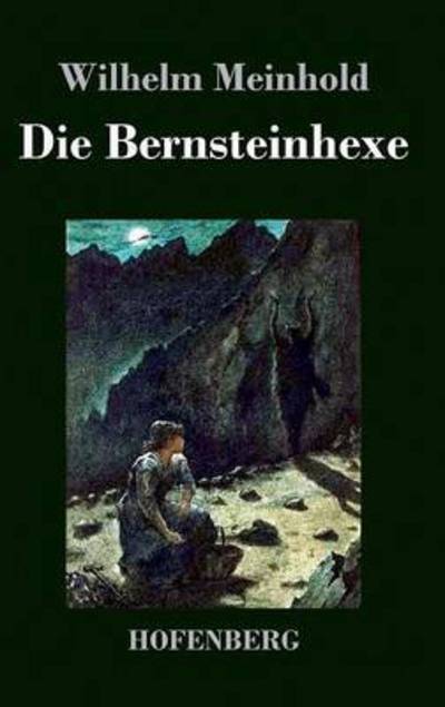 Cover for Wilhelm Meinhold · Die Bernsteinhexe (Hardcover Book) (2013)