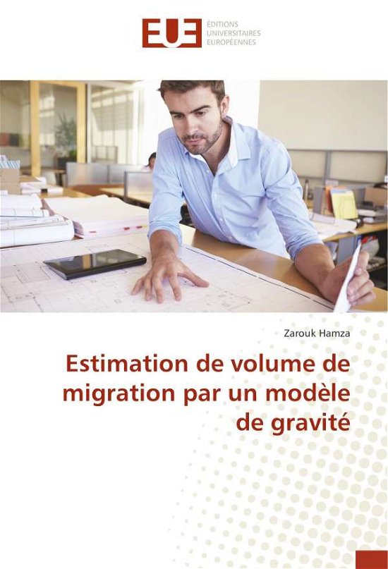 Cover for Hamza · Estimation de volume de migration (Bok)