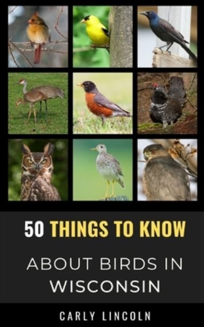 Cover for Carly Lincoln · 50 Things to Know About Birds in Wisconsin: Birding in the Badger State - 50 Things to Know about Birds- United States (Paperback Book) (2021)