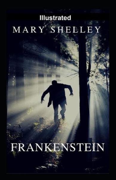 Cover for Mary W Shelley · Frankenstein Illustrated (Paperback Book) (2021)