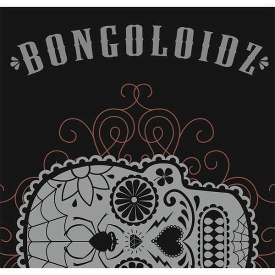 Bongoloidz - Bongoloidz - Musiikki - CD Baby - 0029882566909 - lauantai 22. helmikuuta 2014