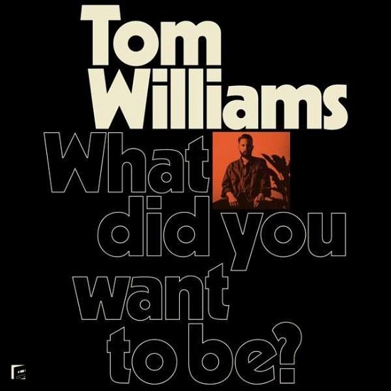 Cover for Tom Williams · What Did You Want to Be? (LP) (2019)