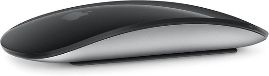 Cover for Magic Mouse · Apple Magic Mouse Maus kabellos schwarz, silber (MERCH)