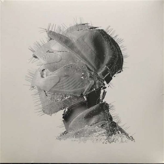 Cover for Woodkid · Golden Age (LP) (2020)