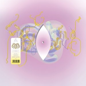Cover for Björk · Black Lake - Bloom Remix (LP) [Limited edition] (2014)