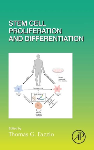 Cover for Thomas Fazzio · Stem Cell Proliferation and Differentiation - Current Topics in Developmental Biology (Hardcover Book) (2020)