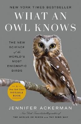 Cover for Jennifer Ackerman · What an Owl Knows (Bok) (2024)
