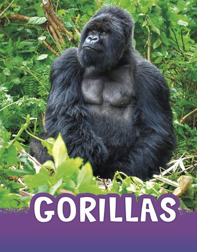 Cover for Jaclyn Jaycox · Gorillas - Animals (Hardcover Book) (2020)